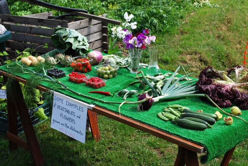 Norwell Allotments / Parish Gardens